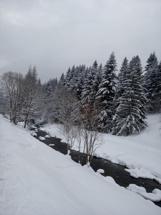 Agroturystyka Oblica Zawoja Bagian luar foto