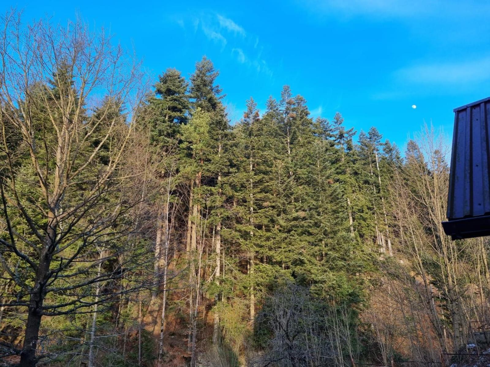 Agroturystyka Oblica Zawoja Bagian luar foto