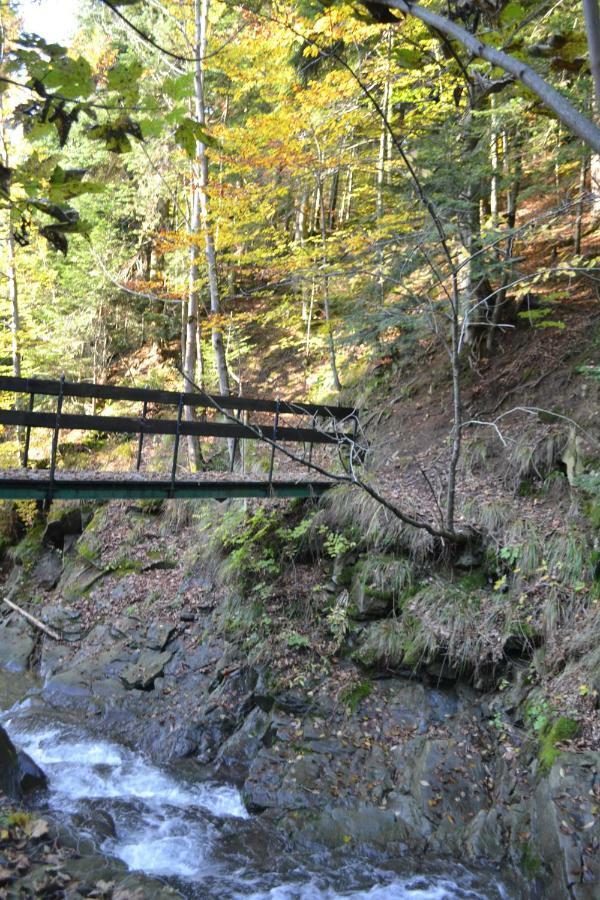 Agroturystyka Oblica Zawoja Bagian luar foto